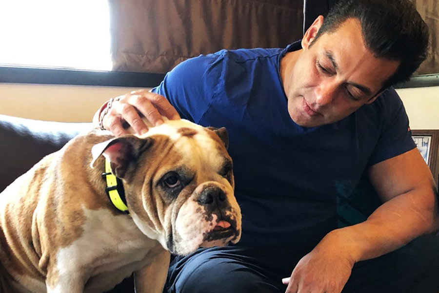 পানভেল ছাড়াও মুম্বইয়ের গোরাই সমুদ্রসৈকতের কাছে একটি বাংলো কিনেছেন অভিনেতা। পাঁচ বেডরুমবিশিষ্ট এই বাংলোতে রয়েছে জিম, বিশাল সুইমিং পুল, থিয়েটার এবং বাইক রাখার আলাদা জায়গা।