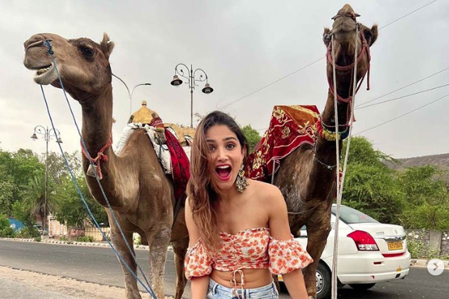 হিন্দি ছবি ছাড়াও তেলুগু ও কন্নড় ছবিতে অভিনয় করতে দেখা গিয়েছে ডোনালকে। ওয়েব সিরিজেও কাজ করেছেন তিনি। তবে, কোনও ছবি বা ওয়েব সিরিজ সে ভাবে প্রচারে না আসায় তিনি বলিউডের রোশনাইয়েও আসেননি।