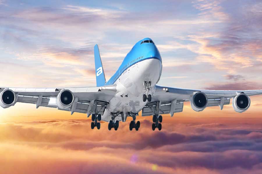 ভারতীয় বন বিভাগের এক জন আধিকারিক জানিয়েছেন, পুরো যাত্রাপথে চিতাগুলিকে খালি পেটে রাখা হবে। তাদের যাতে বমি বমি ভাব বা অন্য কোনও অসুবিধা না হয় তার জন্যই এই সিদ্ধান্ত নেওয়া হয়েছে বলেও জানা গিয়েছে।