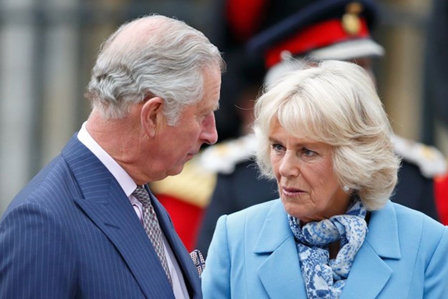 ১৯৭০ সালে একটি পোলো ম্যাচ চলাকালীন চার্লস এবং ক্যামিলার প্রথম দেখা হয় বলেই বিভিন্ন জায়গায় উল্লেখ রয়েছে।