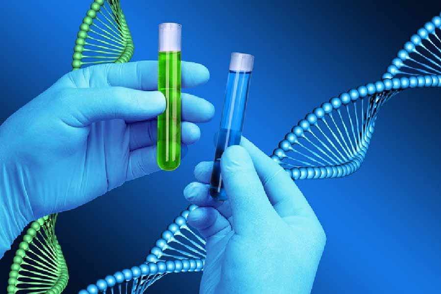 আসিফ তখন অন্ধেরির একটি শিপিং কোম্পানিতে কর্মরত। কাজের জায়গা থেকেই পুলিশ তাকে আটক করে। আসিফের মেয়ের সঙ্গে মৃতদেহের ডিএনএ মিলে যাওয়ার পর পুলিশ নিশ্চিত হয় যে, এই মৃতদেহ সানিয়ারই।