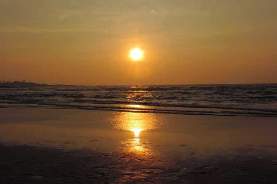 আসিফ নালাসোপারার সমুদ্রসৈকতে নিয়ে গিয়ে মৃতদেহ রাখা ব্যাগটি ফেলে দেন। সানিয়ার কাটা মুণ্ড ফেলে দেন অন্যত্র। এর পর আবার একটি অ্যাপ ক্যাব ভাড়া করে তিনি বাড়ি ফিরে যান।