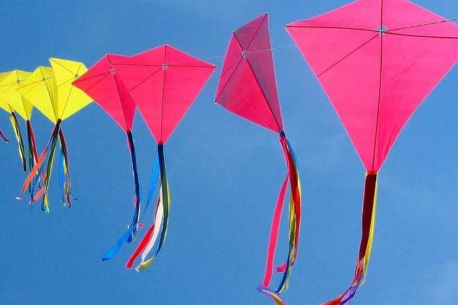 আকার, নকশার রকমভেদে বদলে যায় ঘুড়ির নাম, বিশ্বকর্মা পুজোয় ঘুড়ি উৎসবে মেতে ওঠে বিশ্ব