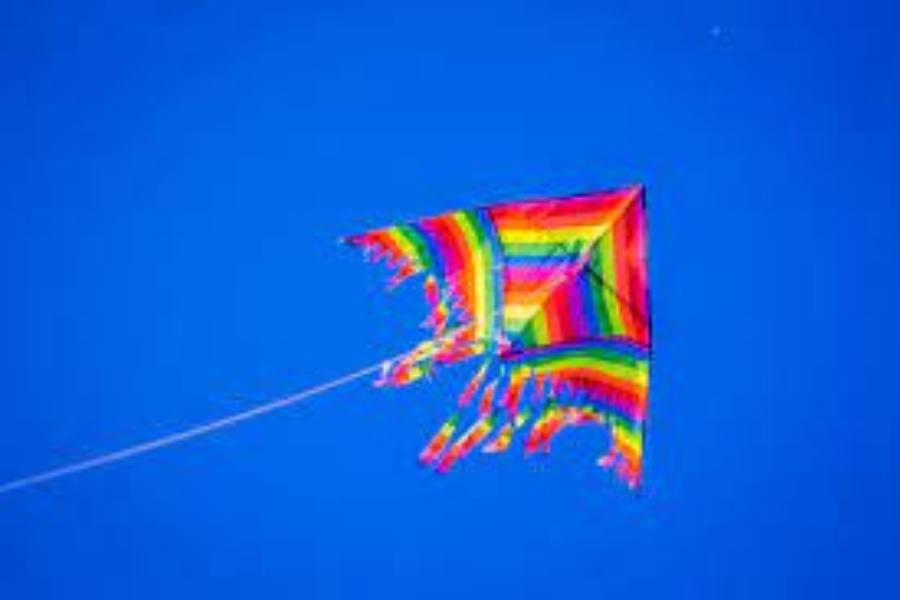 ডায়মন্ড কাইট: সবথেকে পরিচিত ঘুড়ি হল ডায়মন্ড কাইট। ১৮৫০-এর পর থেকে এখনও পর্যন্ত বেশিরভাগ জায়গায় এই ঘুড়ির দেখা মেলে।