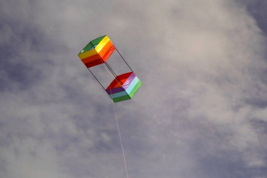 বক্স ঘুড়ি: নাম থেকেই বোঝা যায় এই ঘুড়ি দেখতে অনেকটা বাক্সের মতো। যদিও এই ধরনের ঘুড়ি আকাশে খুব কমই দেখা যায়।