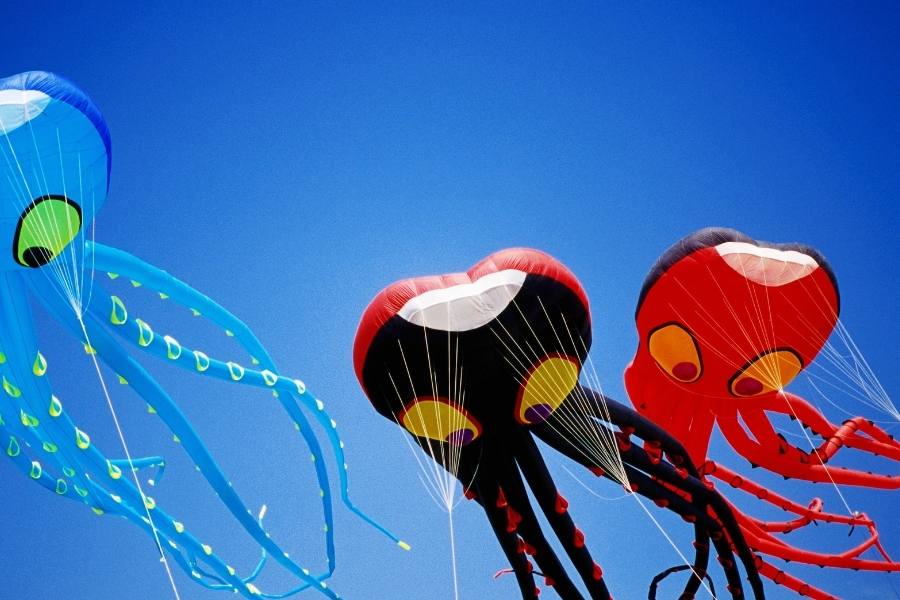 অক্টোপাস ঘুড়ি: এই ঘুড়ির আকৃতি একদম অক্টোপাসের মতো। দৈর্ঘ্যেও বেশ খানিকটা লম্বা। সমুদ্র সৈকতেই এই ঘুড়ি ওড়ানোর চল রয়েছে বেশি।