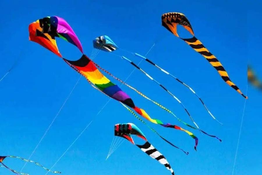 ডেল্টা ঘুড়ি: বিশ্বকর্মা পুজোর দিন আকাশে দিকে তাকালে এমন ঘুড়ি চোখে পড়বেই। সম্ভবত, ঘুড়ির নকশাগুলির মধ্যে এইটি হল প্রথম ঘুড়ি।