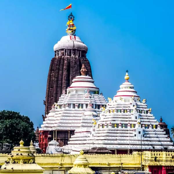 পুরীর জগন্নাথ মন্দিরের সেবায়েত হিসাবে যুগ যুগ কাটিয়ে দিয়েছেন ওই ‘বাহুবলীর’ পূর্বপুরুষেরা। তাঁদের মতো তিনিও সেবায়েত হিসাবে মন্দিরের অন্দরে কাজ করেন।