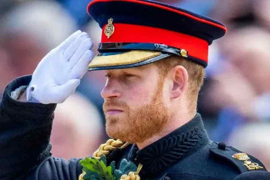 হ্যারি নিজে প্রায় এক দশক সেনাবাহিনীতে কাজ করেছেন।