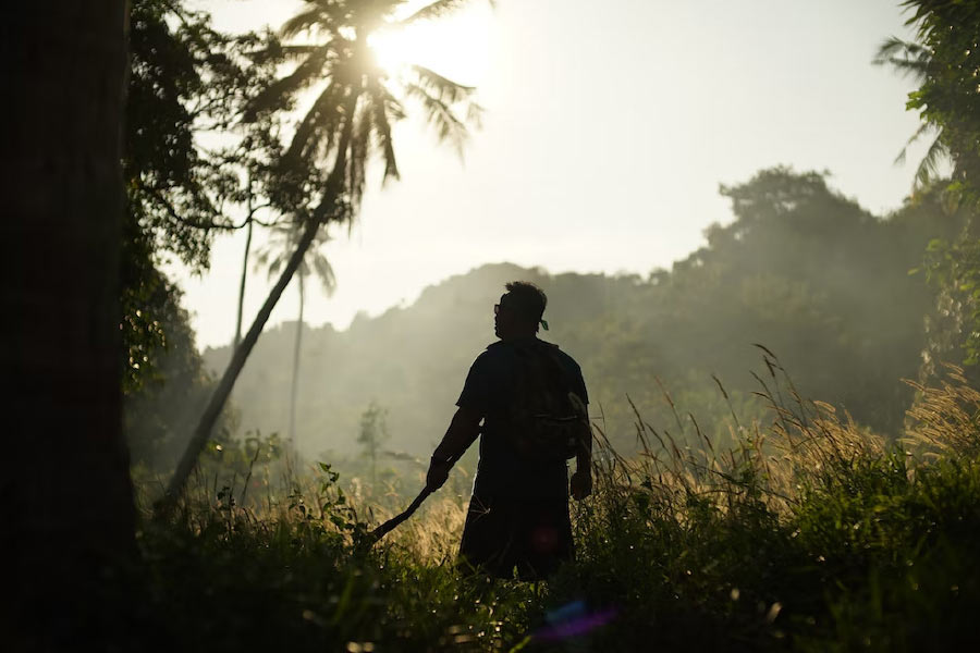 পড়াশোনা শেষের পরই ভ্রমণের নেশা চেপে বসে ক্রিস্টোফারের। পার্থিব সম্পদের মায়া ধীরে ধীরে কাটতে থাকে তাঁর। ঘুরতে ঘুরতে প্রকৃতিকে কাছ থেকে দেখার ইচ্ছা আরও প্রবল হয়। ঠিক করেন সব ছেড়ে ভবঘুরের জীবন বেছে নেবেন।