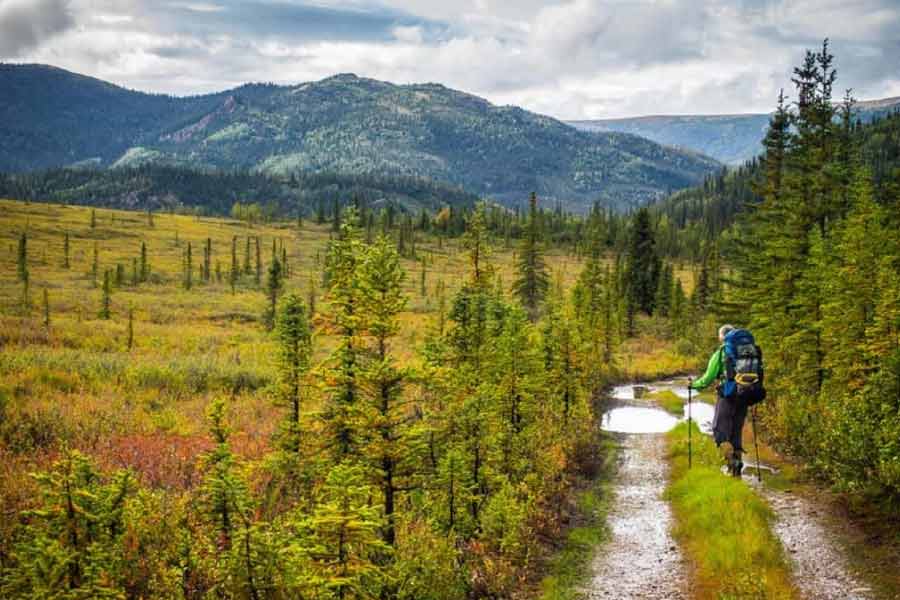 তবে এখনও অনেক ভ্রমণপিপাসু মানুষকে অনুপ্রেরণা জোগায় ক্রিস্টোফারের গল্প। অনেকের কাছে এখনও তিনি স্বাধীন চেতনার প্রতীক।