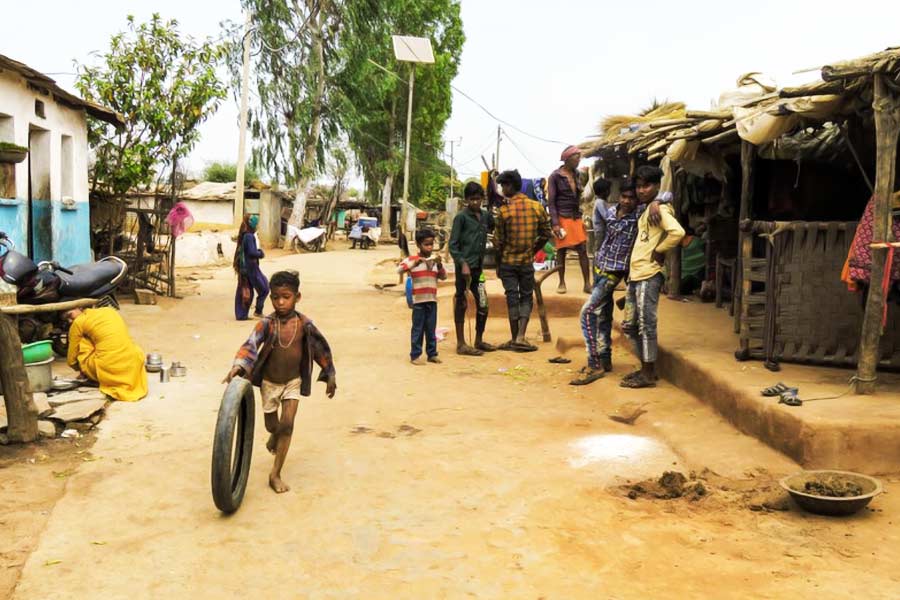 কুনো ন্যাশনাল পার্ক থেকে দু’কিমি দূরে টিকতোলি গ্রামের বাসিন্দা কৈলাসের গলাতেও আতঙ্কের সুর শোনা গিয়েছে। তাঁর কথায়, ‘‘জানি না, এতে কী লাভ হবে। কিন্তু আমরা ভীত, কারণ চিতাদের  আনা হয়েছে। কোথায় যাব আমরা?’’