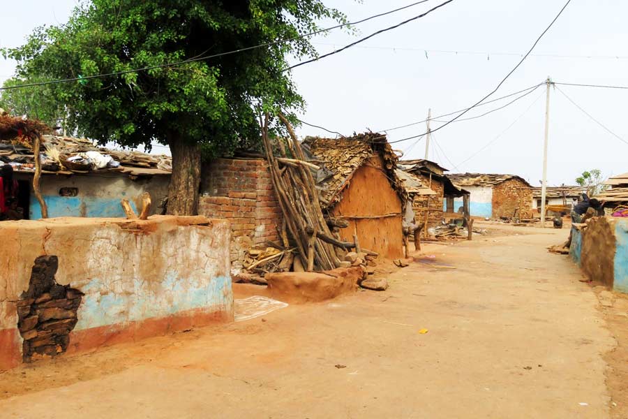শেওপুরের বাসিন্দা কমল জানিয়েছেন, গ্রামে জল সরবরাহের ব্যবস্থা নেই। টেলিফোন নেটওয়ার্কও নেই। কর্মসংস্থানও তথৈবচ অবস্থায় রয়েছে। বেঁচে থাকার জন্য এক মাত্র ভরসা কৃষিকাজ। কিন্তু চিতার আগমনে সেই ভরসার জায়গায় আঁচড় লাগবে কি না, এই অনিশ্চয়তায় অস্থির তাঁদের মন। 