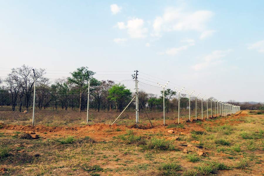 শিবপুরী ও শেওপুরের মধ্যবর্তী গ্রাম কাকরার বাসিন্দারাও চিতার ফেরা নিয়ে উচ্ছ্বসিত নন। চিতার আগমনে তাঁদের ভবিষ্যৎ আরও আঁধারে ডুব দেবে কি না, এখন এই সংশয়ই তৈরি হয়েছে। 