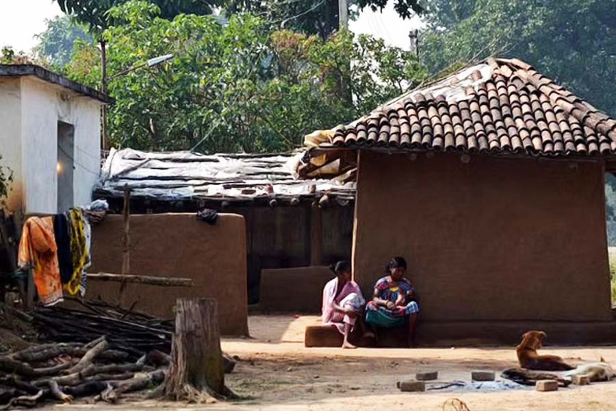 শেওপুরের বাগচা গ্রামের বাসিন্দা গুট্টু যেমন বলেছেন, চিতা আসুক বা সিংহ, আমরা জন্মভিটে ছাড়ব না। কিন্তু শেষ পর্যন্ত এই জেদ গুট্টুর মতো গ্রামের অন্য বাসিন্দারা বজায় রাখতে পারবেন কি না, সেই প্রশ্নচিহ্ন তৈরি হয়েছে। 