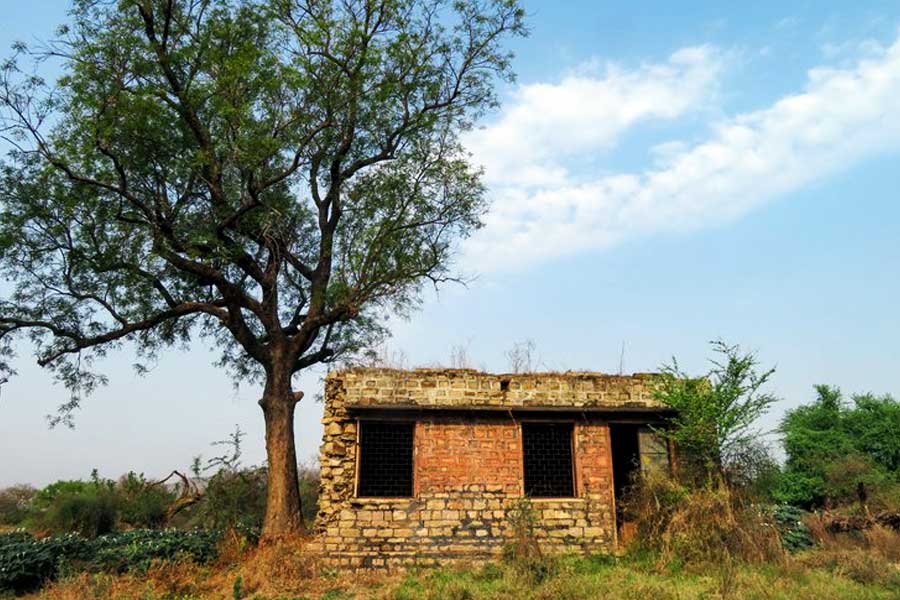 ২০১৮ সালে কুনো-পালপুর ন্যাশনাল পার্কের তকমা পায়। সেই জাতীয় উদ্যানেই এ বার চিতা নিয়ে আসা হল। নামিবিয়া থেকে আগত ওই আট চিতার দিকে নজর গোটা দেশের। 