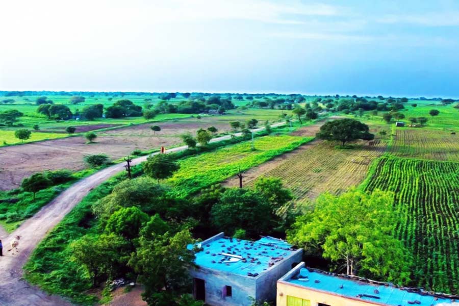 ১৯৪৭ সালে অধুনা ছত্তীসগঢ়ের অন্তর্গত সুরগুজার কোরিয়া অঞ্চলের রাজা রামানুজ প্রতাপ সিংহ দেও তিনটি চিতা শিকার করেছিলেন। শিকার ও শিকারির সেই ছবিই এ দেশে চিতার শেষ অস্তিত্বের প্রমাণ। ১৯৫২ সালে চিতাকে সরকারি ভাবে বিলুপ্ত বলে ঘোষণা করা হয়। সেই হিসাবে ৭৫ বছর পরে আবারও ভারতের মাটিতে চিতা পা রাখল। 