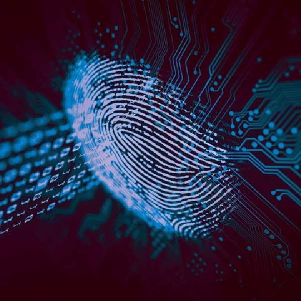 বেশির ভাগ লোকজনই মনে করেন পাসওয়ার্ডের থেকে আঙুলের ছাপ অনেক বেশি সুরক্ষিত রাখে ফোনকে। পাসওয়ার্ড চুরি করা গেলেও আঙুলের ছাপ নকল সম্ভব নয়।