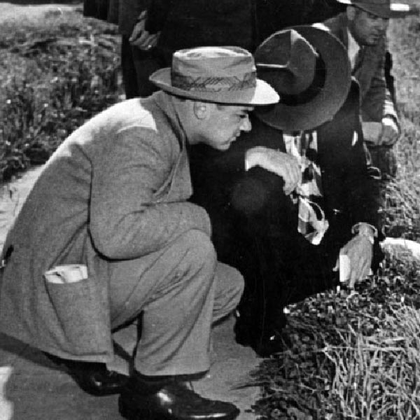 লস অ্যাঞ্জেলসের বাসিন্দা এলিজাবেথ শর্টস। ১৯৪৭ সালের ১৫ জানুয়ারি তাঁর মৃতদেহ উদ্ধার হয় স্থানীয় একটি উদ্যান থেকে। খোলা মাঠের মাঝে রক্তশূন্য অবস্থায় ফেলে রাখা হয়েছিল এলিজাবেথের দেহ।