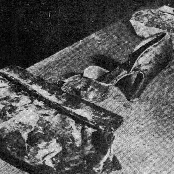 এলিজাবেথের দেহের সামনে থেকে একটি সিমেন্টের বস্তা উদ্ধার করেছিল পুলিশ। পাওয়া গিয়েছিল জুতোর হিলের ছাপ।