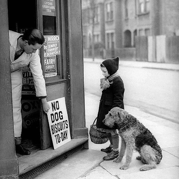 সাতসকালে প্রিয় পোষ্যকে সঙ্গে করে ছুটতে ছুটতে বেকারির দরজায় পৌঁছে গিয়েছে ছোট্ট মেয়েটি। তবে বেকারির মালিক তখনই বোর্ড ঝুলিয়ে দিচ্ছেন— আজ আর কুকুরের জন্য বিস্কুট পাওয়া যাবে না। শীতের সকালে তখনও আশায় আশায় দাঁড়িয়ে ছোট্ট মেয়েটি আর তাঁর প্রিয় পোষ্য। লন্ডনের রাস্তায় ১৯৩৯ সালে তোলা হয়েছিল এ ছবি।
