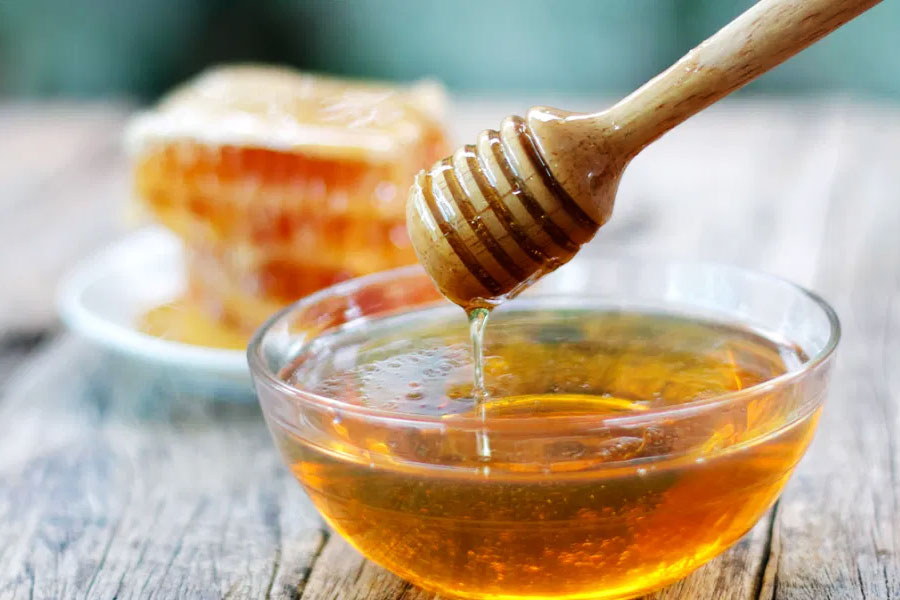 রোজ নিয়ম করে নির্দিষ্ট পরিমাণ মধু খাওয়া স্বাস্থ্যের পক্ষে উপকারী। কিন্তু জানেন কি, এই মধু তৈরি হয় বমি থেকে?