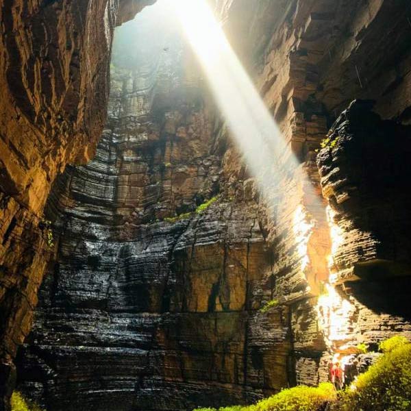 এই গুহায় বাস বহু বিষাক্ত পোকামাকড়ের। বিষাক্ত ট্যারেন্টুলা মাকড়সাদেরও এই গুহায় দেখা যায়। এই গুহাগুলিতে টেয়োস নামের এক নিশাচর পাখির বাস। এই পাখির নামেই গুহাগুলির নাম দেওয়া হয়েছে কুয়েভা দে লস টেয়োস। শুয়ের উপজাতির মানুষদের অন্যতম পছন্দের খাবার টেয়োস।