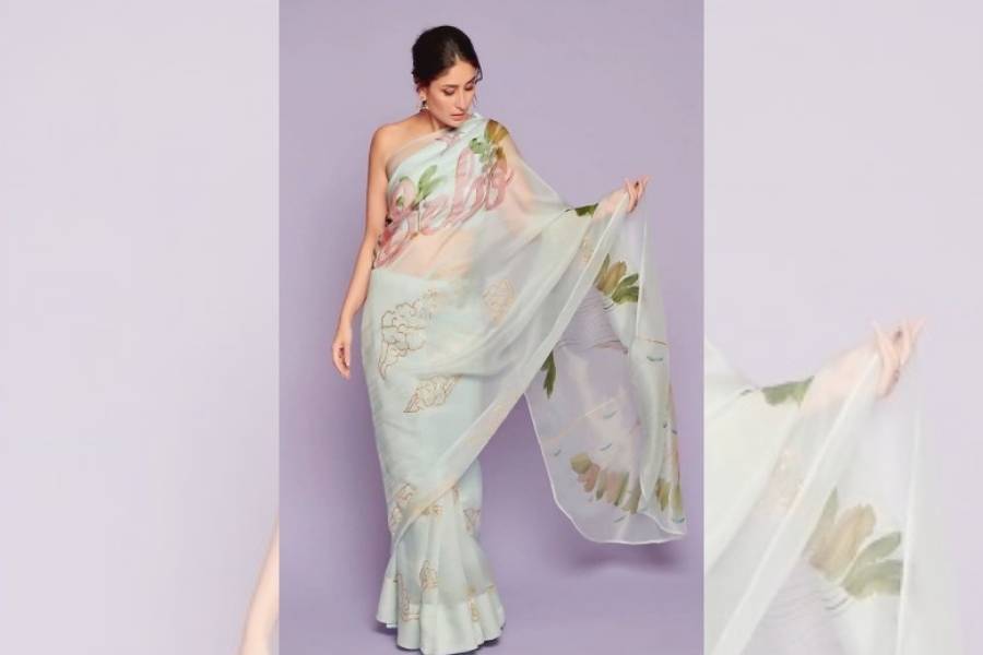 স্বচ্ছ শাড়িতে করিনার স্টাইল স্টেটমেন্টের জুড়ি মেলা ভার। হালকা পেস্তা বা প্যাস্টেল রঙের গোলাপী শাড়িতে আকর্ষণের কেন্দ্রবিন্দুতে থাকুন পুজোর সময়। 