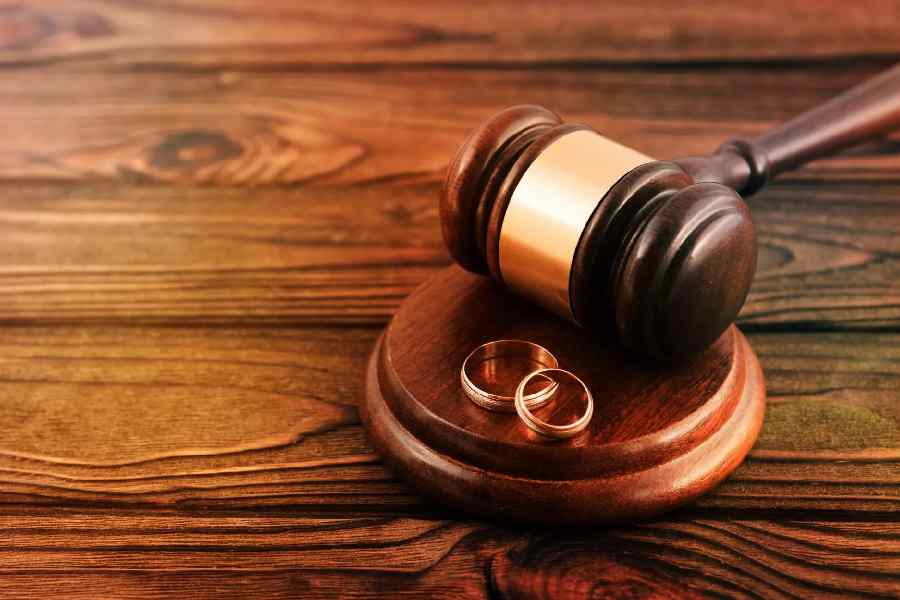 বিচারপতি জানান, বিয়ের আসল উদ্দেশ্য সন্তান উৎপাদন করা। 