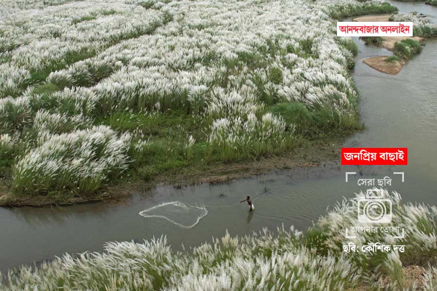 ছবি: কৌশিক দত্ত।