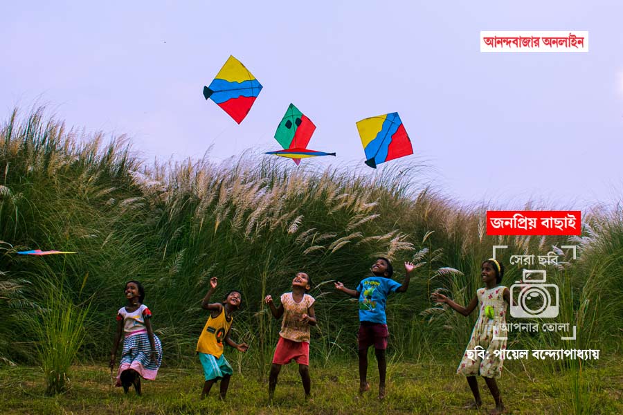 ছবি: পায়েল বন্দ্যোপাধ্যায়।