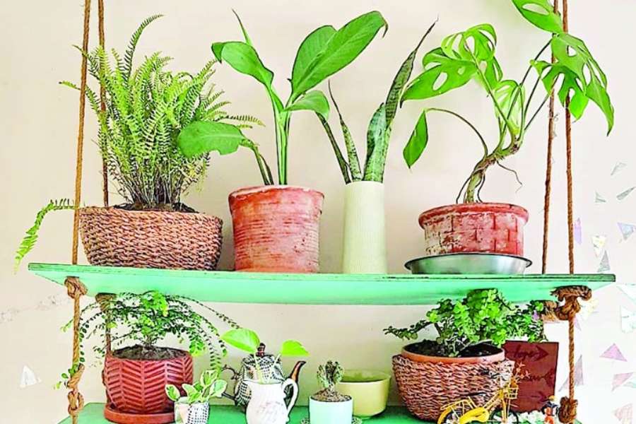 বাগান: বাড়ির বারান্দায় বা ছাদে বাগান করেছেন? সেই বাগানকে সাজিয়ে তুলুন দড়ি দিয়ে। নতুনত্বের ছোঁয়া দিন বাগানে। 
