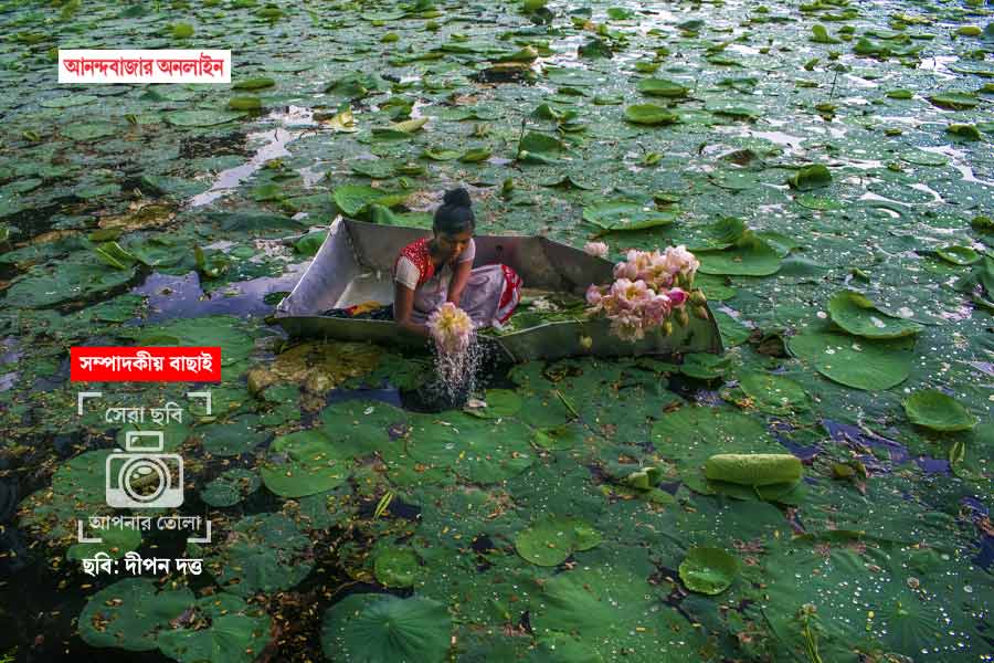 ছবি: দীপন দত্ত।