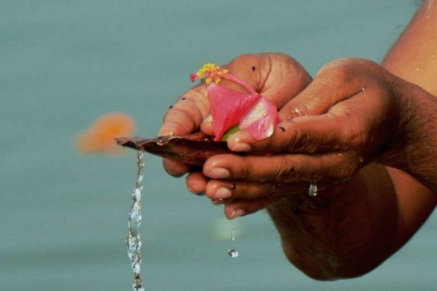 ‘তৃপন্ত্যু সর্বমানবা’ – অর্থাৎ সামগ্রিক সুখ, শান্তি এবং স্বাচ্ছন্দ্যের জন্য প্রার্থনা। অতএব, তর্পণ শুধুমাত্র পূর্বপুরুষদের জন্যই নয়, সমগ্র মানবজাতির উত্তরণের উদ্দেশ্যেও বটে। 