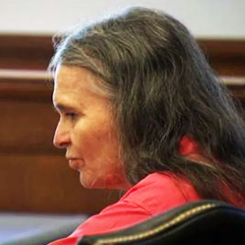 ১০ বছর আগেকার ঘটনা। গোলাবারুদ, বেআইনি অস্ত্র রাখার অভিযোগে জেল হয় আমেরিকার বাসিন্দা ডোনা পেরির। মামলা চলাকালীন প্রমাণ হিসাবে ডোনার আঙুলের ছাপও ন্যাশনাল ডেটাবেসে সংগ্রহ করে রাখা হয়। আর তখনই আরও এক রহস্যের জট খুলতে শুরু করে।