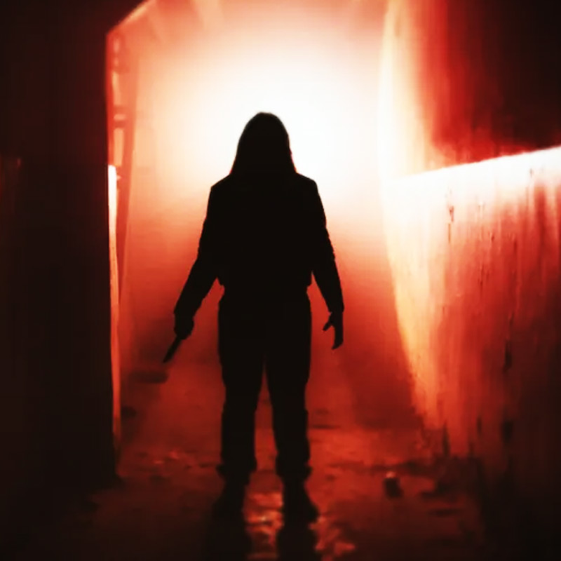 গোয়েন্দা বিভাগের আধিকারিকেরা খোঁজ নিয়ে জানতে পারেন, নিহতদের সকলেই যৌনপেশার সঙ্গে যুক্ত ছিলেন। খুন করার পদ্ধতি একই রকম দেখে গোয়েন্দারা ধারণা করেন, এর পিছনে কোনও সিরিয়াল কিলারের হাত রয়েছে।