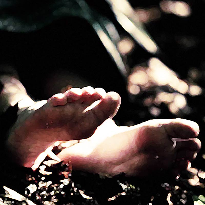 মার্চের পর মে মাসে উদ্ধার হয় আরও এক যৌনকর্মীর মৃতদেহ। তদন্তে জানা যায়, তাঁর নাম ক্যাথলিন এ ব্রিসবইস। ৩৮ বছর বয়সে মারা যান তিনি।