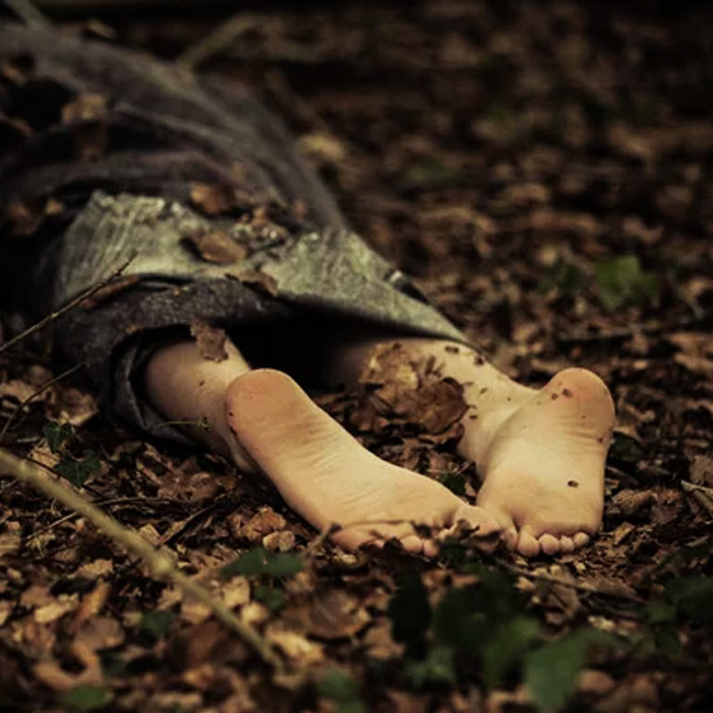 অঙ্কিতার মতো প্রিয়ঙ্কারও কি একই পরিণতি হয়েছিল? এই প্রশ্নই ঘুরপাক খাচ্ছে তদন্তকারীদের মনে। প্রিয়ঙ্কার নিখোঁজ হওয়া প্রসঙ্গে পুলকিত দাবি করেছিলেন, ওই তরুণী রিসর্টের টাকা, মূল্যবান জিনিস নিয়ে পালিয়ে গিয়েছেন। অনেকের ধারণা, অঙ্কিতা হত্যাকাণ্ডের রহস্যের জাল আরও গভীরে ছড়িয়ে রয়েছে। তদন্ত চালালেই সেই রহস্যের জট খুলতে পারে।