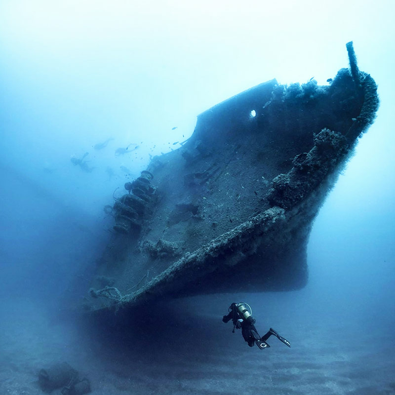 ডাউসন তাঁর তোলা ছবিকে পুরস্কৃত করার জন্য ‘স্কুবা ডাইভিং’ পত্রিকাকে ধন্যবাদ জানিয়েছেন। সঙ্গে জানিয়েছেন, তিনি এবং তাঁর সঙ্গী অ্যানা ভন বোটিসের প্রায় তিন ফুট পুরু বরফের স্তর সরিয়ে সমুদ্রে নামেন। 