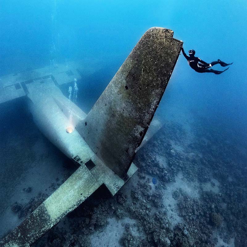 সমুদ্রের নীচে প্রায় ১৫-২০ ফুট যাওয়ার পর তাঁরা ২০টি তিমি মাছের কঙ্কাল দেখতে পান। ডাউসন তাঁর তোলা ছবিটি নিজের টুইটার হ্যান্ডলে দিলে প্রায় ৪৩,০০০ জন তাতে লাইক দেন।