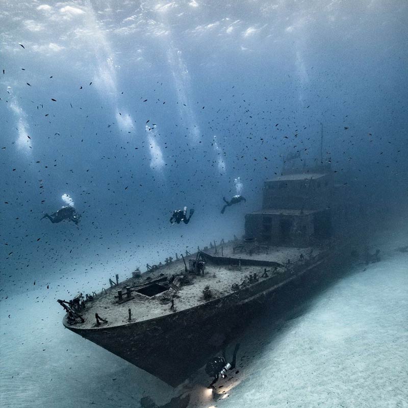 ৬০০০ বার রিটুইট করা হয় ছবিটি। নেটিজেনদের কেউ মন্তব্য করেন, ‘কী অপূর্ব দৃশ্য’, কেউ বা মন্তব্য করেন ‘এই ছবি পুরস্কার পাওয়ারই যোগ্য।’