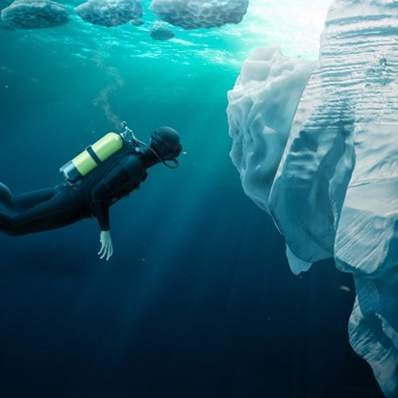 তাঁরা টাসিলাক সাগরে নেমে তিমি মাছের মৃতদেহ সংগ্রহ করেন। তারপর সেগুলির গা থেকে চামড়া এবং মাংস ছাড়িয়ে কঙ্কালগুলিকে সমুদ্রের নীচে রেখে দেন।