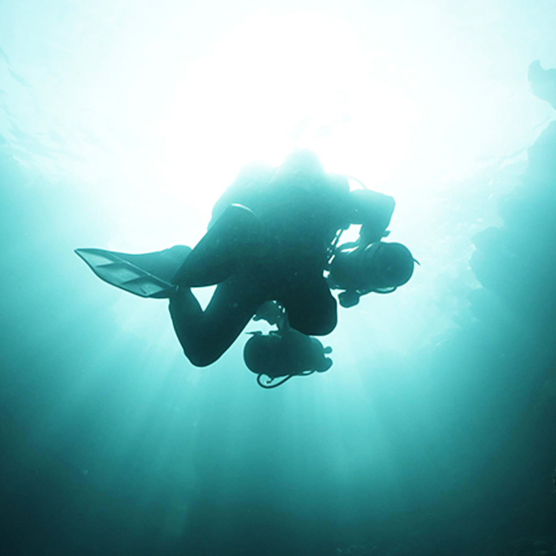 এই প্রসঙ্গে ডাউসন বলেন, বিশ্বের অন্য কোথাও এমন দৃশ্য ক্যামেরাবন্দি করতে হলে ডুবোজাহাজে সওয়ার হতে হবে। 