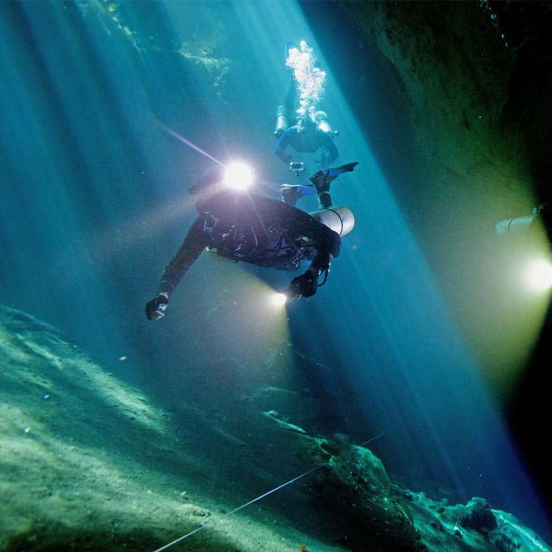 কিন্তু গ্রিনল্যান্ডেই এই সমুদ্রে প্রায় ১৫-২০ ফুট নীচে নামলেই তিমি মাছের বৃহদাকার কঙ্কালের সন্ধান পাওয়া সম্ভব।