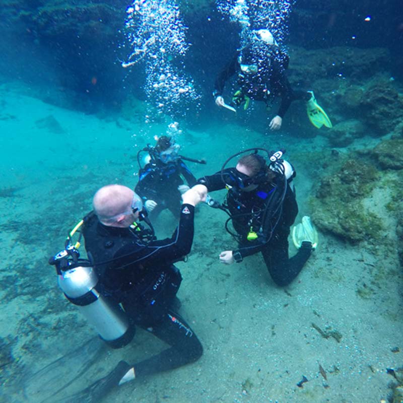 তিমিদের মধ্যে সবচেয়ে বড় নীল তিমি সাধারণত ৮০ থেকে ১০০ ফুট পর্যন্ত লম্বা হয়ে থাকে। অর্থাৎ, তিনটি স্কুলবাস পর পর দাঁড়িয়ে পড়লে যতটা লম্বা হয়, ততটাই দৈর্ঘ্য হয় একটি নীল তিমির।