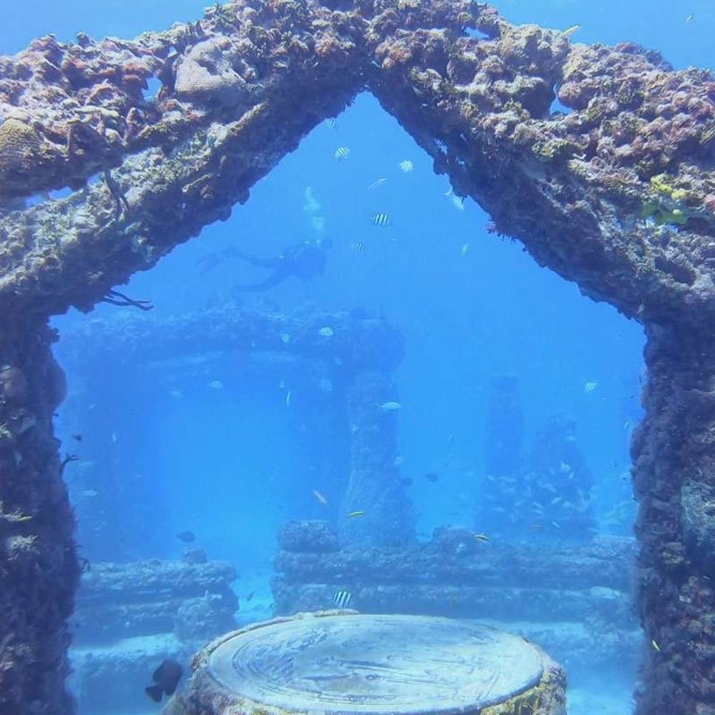 ইন্টারন্যাশনাল ইউনিয়ন ফর কনজারভেশন অফ নেচার জানিয়েছে, বর্তমানে অত্যন্ত সঙ্কটজনক অবস্থায় রয়েছে তিমিরা। অনিয়ন্ত্রিত এবং অবৈধ তিমি শিকারই তিমিদের কমে যাওয়ার কারণ বলে মত সংস্থার।