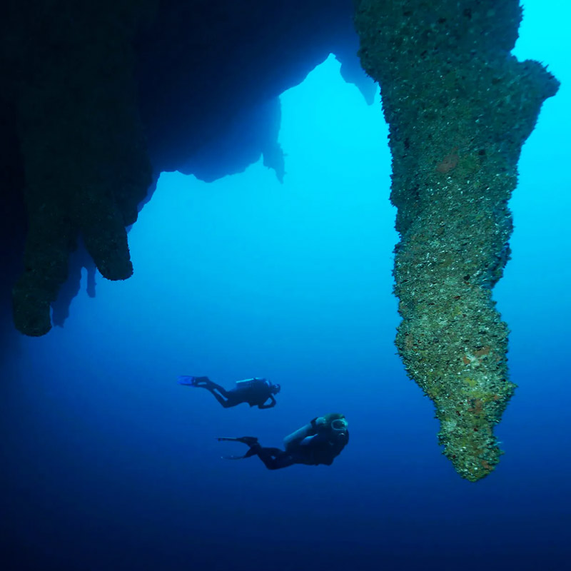 ইনুইটরা মূলত কানাডার বাসিন্দা। ১১০০ খ্রিস্টাব্দ নাগাদ ইনুইটদের একাংশ গ্রিনল্যান্ডে চলে আসেন। বংশপরম্পরায় ইনুইটরা তিমি মাছের কবর দেওয়ার কাজের সঙ্গে যুক্ত।