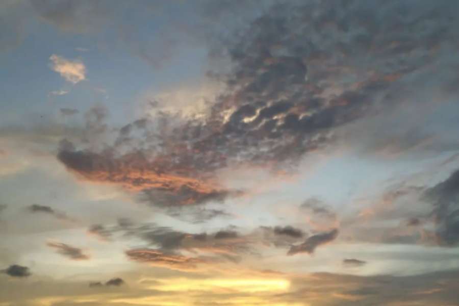 শুধু আমরা কেন! প্রকৃতিও জানান দিচ্ছে তারই। আকাশে বাতাসে শরতের ছোঁয়া। সাদা কাশ ফুল আর শিউলি ফুলের গন্ধ শরতের ভোরে যেন তারই জানান দিয়ে গেছে। 