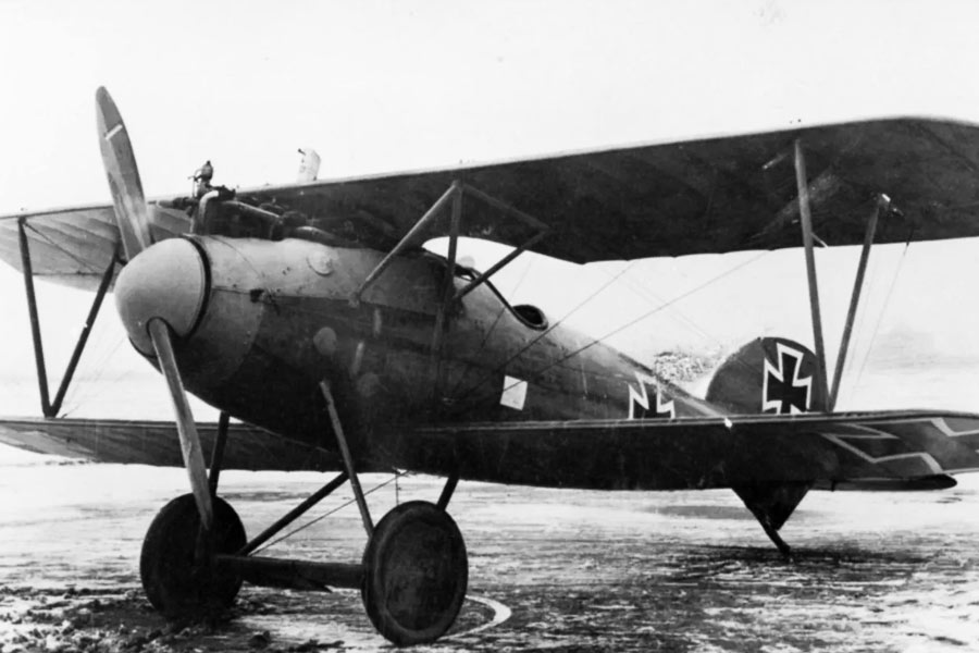 ১৯২১ সালে বিমান চালানোর প্রশিক্ষণ নেন অ্যামেলিয়া। ঠিক করেন নিজের একটা বিমান কিনবেন। টাকা জোগাড়ের জন্য নানা রকমের কাজ শুরু করেন অ্যামেলিয়া। লক্ষ্যপূরণও হয়। ওই বছরই টাকা জমিয়ে বিমান কেনেন তিনি।