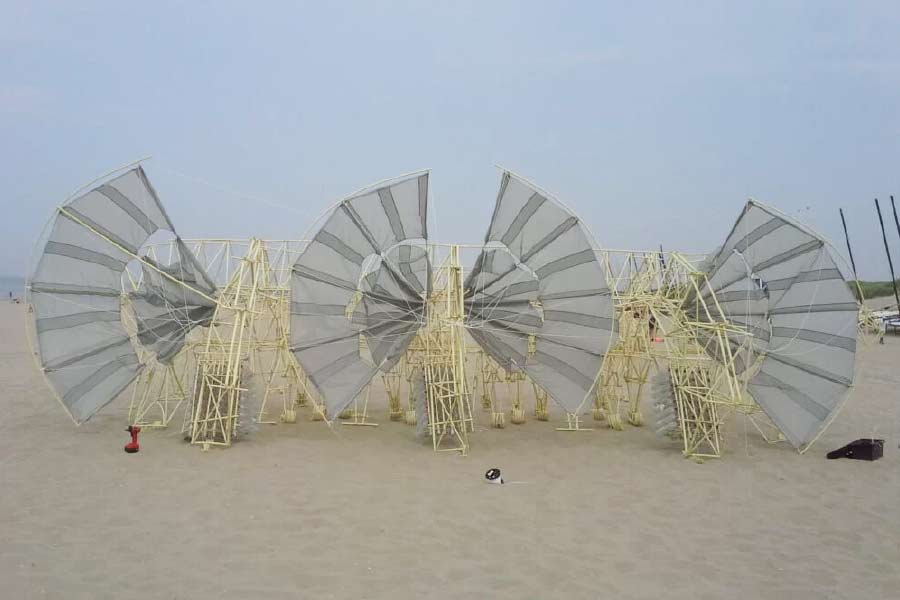 শিল্পী জানিয়েছেন, একে প্রাণী না বলে প্রাণীর কঙ্কাল বলা ভাল। মানুষ নিজের খুশি মতো এর অবয়ব ভেবে নেবেন। কিন্তু এই কৃত্রিম প্রাণীর কঙ্কাল দৌড়ে বেড়াচ্ছে কোন জাদুতে? শিল্পী জানাচ্ছেন, স্রেফ বাতাস হজম করেই দৌড়চ্ছে ‘বিচ বিস্ট’।